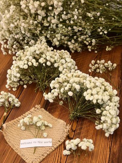 20/50/100/150/300 件迷你呼吸花和其他干花 - 用于树脂模具艺术工艺品，象牙白花束，可用作发饰、婚礼花环、桌花瓶、家居装饰