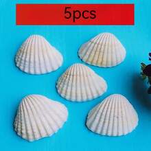 DIY Natural White Seashells: Painting, Graffiti, Wall Stickers, Barbecue, Hawaiian White Scallops - Multicolor - View 7