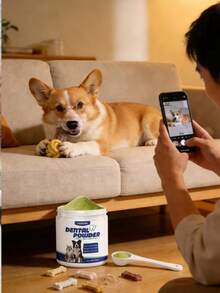 Pet Dental Powder - Proszek do czyszczenia zębów dla zwierząt domowych, usuwający plamy i kamień nazębny, odświeżający i odświeżający oddech, delikatna pielęgnacja jamy ustnej zwierząt, produkt do czyszczenia i pielęgnacji zębów dla psów/kotów - odświeża oddech, zapobiega chorobom dziąseł, wspomaga zdrowie jamy ustnej, usuwa płytkę nazębną i kamień nazębny, odpowiedni dla wrażliwych dziąseł, łatwy w użyciu proszek do czyszczenia zębów dla psów/kotów, produkty do pielęgnacji zębów dla psów, artykuły do higieny jamy ustnej zwierząt domowych - Wielokolorowe - Zobacz 4