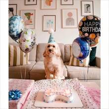 2pcs Dog Scarf & Bandana (Fits Small, Medium, Large Dogs) - Adjustable Breathable Bib With Yellow Daisy Plaid Pattern, Soft Reusable Pet Scarf, Suitable For Puppies, Male & Female Dogs (Summer 24.8"X11") - Compatible With Most Collars & Harnesses - Multicolor - View 5