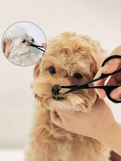 Safety Round Head Stainless Steel Pet Scissors, Grooming Scissors For Dogs And Cats - Easy To Clean, Removes Tear Stains, Trims Hair - Silvery And Black - Pet-Specific Scissors