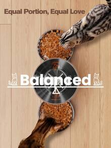 双猫自动喂食器，不锈钢材质，电动可编程，带两个食碗，4.5升/152.180盎司/1.19加仑大容量，适用于猫狗，可个性化设置喂食时间表，双电源设计，安全锁防止食物泄漏，是多宠物家庭的理想之选。 - 4.5升 - 查看 8