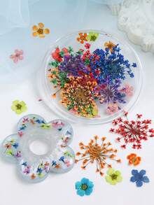 Hộp 20 bông hoa khô nhiều màu sắc và kiểu dáng, thích hợp để làm khuôn nhựa epoxy DIY, móc khóa, trang sức, vật dụng sáng tạo cần thiết, trang trí chủ đề mùa hè. - Nhiều màu - Xem 2