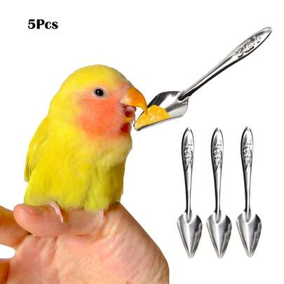 5 piezas Cuchara de alimentación de loro de acero inoxidable, cuchara para alimentar aves bebé con leche en polvo, plateado