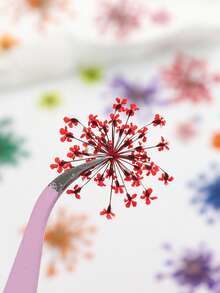 Hộp 20 bông hoa khô nhiều màu sắc và kiểu dáng, thích hợp để làm khuôn nhựa epoxy DIY, móc khóa, trang sức, vật dụng sáng tạo cần thiết, trang trí chủ đề mùa hè. - Nhiều màu - Xem 3