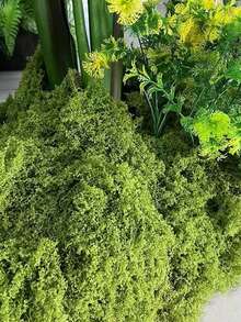 1片100克人造苔藓,适用于DIY工艺品、室内植物、DIY盆景微景观、人造绿植、玻璃容器、花盆、草坪、户外景观装饰、婚礼花园、客厅、卧室家居装饰、生日美学房间装饰、鱼缸装饰、北欧风、玻璃容器用品、活苔藓、人造苔藓/绿色苔藓/圣诞苔藓、玻璃容器配件、装饰苔藓 - 綠色 - 查看 8