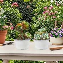 30pcs 4.7 Inch (Approx. 12cm) Plastic Succulent Planter Pots, With Drainage Holes, Suitable For Succulents, Pothos, Cacti And Other Small Plants/Flowers, White - White - View 2