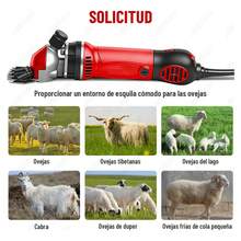 Trasquiladora Rasuradora Para Borrego Ovejas Y Caballo Rojo - Rojo - Ver 7