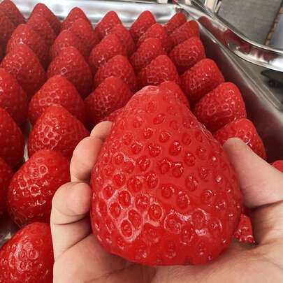 1个柔软草莓挞造型硅胶挤压玩具 - 成人减压感官玩具，适合办公室和派对使用