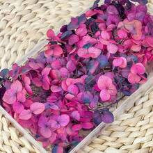 100/200/500/1000个多色绣球花干花头 - 非常适合DIY工艺品、蜡烛、婚礼、DIY手工、圣诞节 - 彩色 - 查看 21