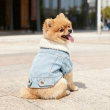 1pc Pet Cat Dog Fleece Jacket With Fur Collar, Autumn/Winter - Blue - View 17