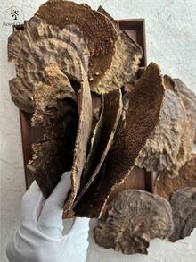 5克A级天然沉香，香气浓郁持久，有助于放松身心、净化空气，适合居家香薰和冥想。 - A級沉香 - 查看 5