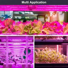 USB Powered LED Plant Growth Light, Indoor Potted Plant Supplementary Lighting, Desktop Seedling Grow Light, Green Plant Care - Purple - View 10