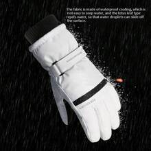 1 Pair Unisex Winter Ski Gloves, Couple's Windproof Thick Gloves, Skiing Warm Gloves - A - View 4