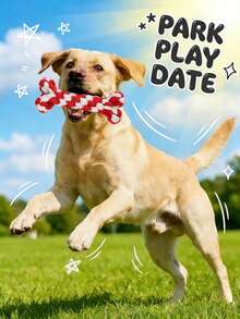 Puppy Teething Rope Toy - Cartoon Bone Interactive Chew Toy, Suitable For Small And Medium Dogs - Multicolor - View 6