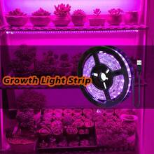 USB Powered LED Plant Growth Light, Indoor Potted Plant Supplementary Lighting, Desktop Seedling Grow Light, Green Plant Care - Purple - View 1