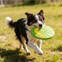 Perro训练圆盘 - 柔软的天然橡胶材质，对狗狗的口腔非常友好 - 呵护牙齿，非常适合抛接游戏。材质柔软，方便携带，适合散步时使用。不适合作为咀嚼玩具。 - 彩色 - 查看 12
