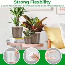 5个高品质柔韧透明塑料花盆，带排水孔和托盘，多种尺寸可选，透气耐用，适用于室内外花卉、植物、幼苗和家庭园艺。 - 透明-5件裝 - 查看 5