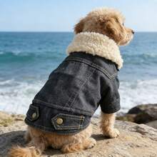 1pc Pet Cat Dog Fleece Jacket With Fur Collar, Autumn/Winter - Blue - View 10