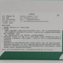 Puma Palermo Casual Low-Top Sneakers Unisex - Purple - View 8