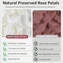 Dried Real White Rose Petals, 2.1oz Freeze Preserved Flower Petals For Valentine's Day Gifts Wedding Party Decor, Flower Girl, Dinner Table Centerpieces, Bridal Shower, Flower Confetti - White - View 4