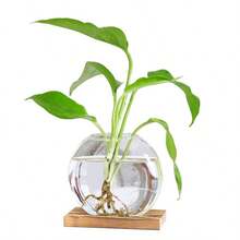1 bình trồng cây thủy canh hình trái tim bằng thủy tinh có đế gỗ, lý tưởng để trang trí nhà cửa và văn phòng, giá đỡ ươm cây trong nhà, giá đựng cây thủy canh, bình thủy tinh trang trí. - Nhiều màu - Xem 10