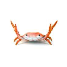 1pcs Cute Weightlifting Crab Pen Holder Funny Desk Organizer & Creative Office Decor Gift In Red Styles - 彩色 - 查看 9