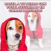 Chaqueta impermeable para perro con cierre y tiras ajustables - Multicolor - Ver 2