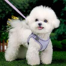 高品质网眼面料，凉爽透气，触感柔软，经久耐用；360度全方位包裹式防逃脱设计；反光安全背心式狗绳，适合中小型宠物；宠物遛狗装备；跑步训练胸背带；轻便宠物胸背带；可调节狗胸背带；加固缝线；耐用网眼面料