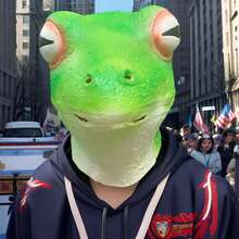Frog Head Mask, Internet Celebrity Prank Animal Head Latex Mask, Live Broadcast COS Props - Multicolor - View 2