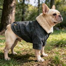 1pc Pet Cat Dog Fleece Jacket With Fur Collar, Autumn/Winter - Blue - View 5