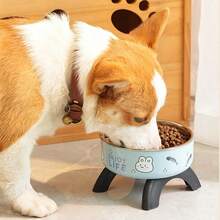 Stainless Steel Anti-Slip Anti-Fall Pet Bowl With Raised Stand For Cats And Dogs - 100ml - View 6