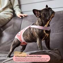 1pc Washable Female Dog Diapers, Adjustable Strap Reusable Dog Sanitary Pants, Suitable For Dog Heat Cycle - Pink - View 6