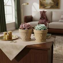 Flower Pots & Planters - 5cm - Xem 3