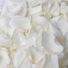 Dried Real White Rose Petals, 2.1oz Freeze Preserved Flower Petals For Valentine's Day Gifts Wedding Party Decor, Flower Girl, Dinner Table Centerpieces, Bridal Shower, Flower Confetti - White - View 1
