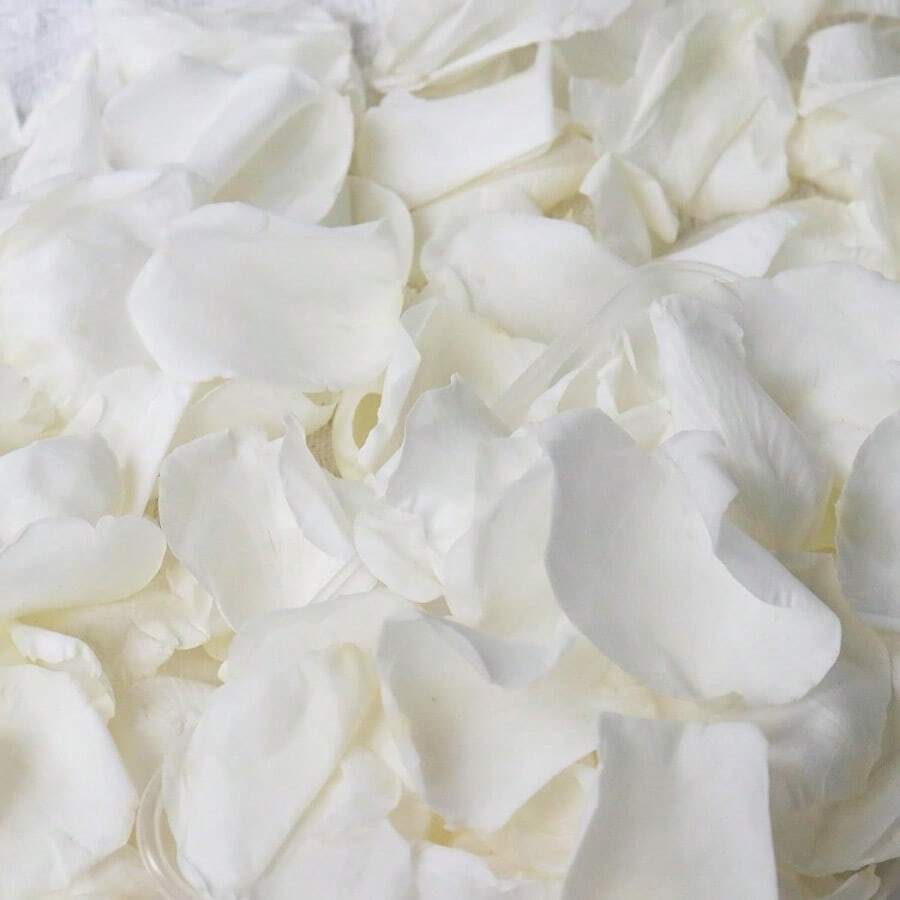 Dried Real White Rose Petals, 2.1oz Freeze Preserved Flower Petals For Valentine's Day Gifts Wedding Party Decor, Flower Girl, Dinner Table Centerpieces, Bridal Shower, Flower Confetti - White - View 1