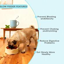 1个二合一可转换慢食狗碗，普通模式和慢食模式，适合进食速度快的狗狗，防胀气，互动益智，防滑，适合小型、中型、大型犬、猫、幼犬、宠物。 - 300ml - 查看 5