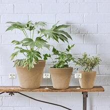 Flower Pots & Planters - 5cm - Xem 8