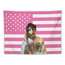 Mike Finn Wolfhard Celebrity Tapestry Thing Pink American Flag Print Stranger - Dorm Room Essential Wall Hanging For Bedroom & Living Room Decor - 白色 - 查看 1
