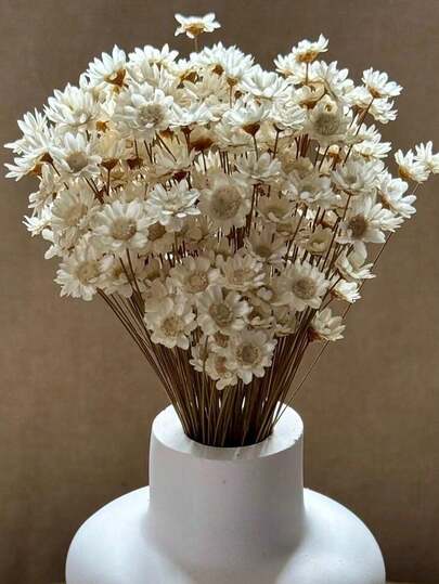 30/60/100/200pcs Set, Natural Dried Flowers, Brazilian Mini Daisy Decorative Dried Flowers, Mini Daisy Chamomile Bouquet, Suitable For Wedding Floral Arrangement, Home Decor, Valentine''s Day Gifts