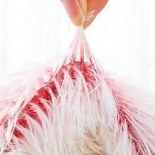 1pc Plush Round Pet Bed, Fluffy Soft Cat Bed, Donut Pet Mat, 2-In-1 Cat Bed For Winter, Warm Sleeping Bag Sofa Pad - Pink - View 5