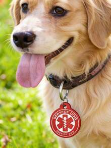 Identificador de Cachorro Personalizado, Identificador de Cachorro Personalizado Estilo Chaveiro Silencioso, Identificador de Animal de Estimação, Identificador de Cachorro Personalizado - Multicolorido - Visão 3