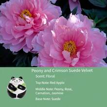 200g Home Scented Candle, Large Candle Suitable For Home Decor, Cute Panda Shape, Multiple Fragrances, Suitable As Birthday Gift For Boyfriend, Valentine's Day Gift For Girlfriend, Souvenir Gift, Business Gift - Multi Scents - View 11