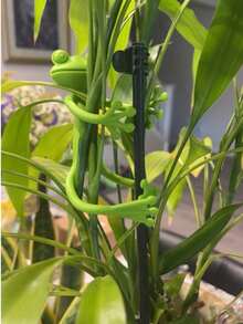 3/5 Stück - 1 Stück Pflanzen Fixativ, Ranken Befestigungsclip, Lochfreier Kletterpflanzen Fixator, Draht Fixator, Frosch Pflanzenständer mit beweglichen Gliedmaßen, geeignet für Topfpflanzen, Sukkulenten, kleine Grünpflanzen, Efeu. - Verschiedenfarbig - Übersicht 2