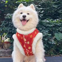 传统中式图案宠物服装，保暖舒适，适合中大型犬，例如金毛寻回犬、拉布拉多犬、边境牧羊犬、哈士奇等，秋冬季穿着。 - 紅色 - 查看 13