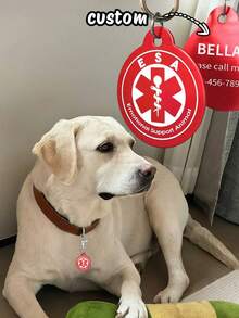 Identificador de Cachorro Personalizado, Identificador de Cachorro Personalizado Estilo Chaveiro Silencioso, Identificador de Animal de Estimação, Identificador de Cachorro Personalizado - Multicolorido - Visão 2