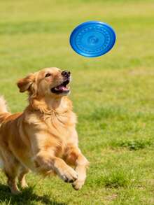 1 Set Purple/Pink/Blue Pet Chew Ring & Soft Flying Disc - Multifunctional Toy For Medium/Large Dogs, Dog Lovers & Moms | Natural TPR Rubber Material, Cleans Teeth, Relieves Itching | Indoor/Outdoor Play, Beach Fetch Pet Supplies | Valentine's Day Gift - Multicolor - View 1