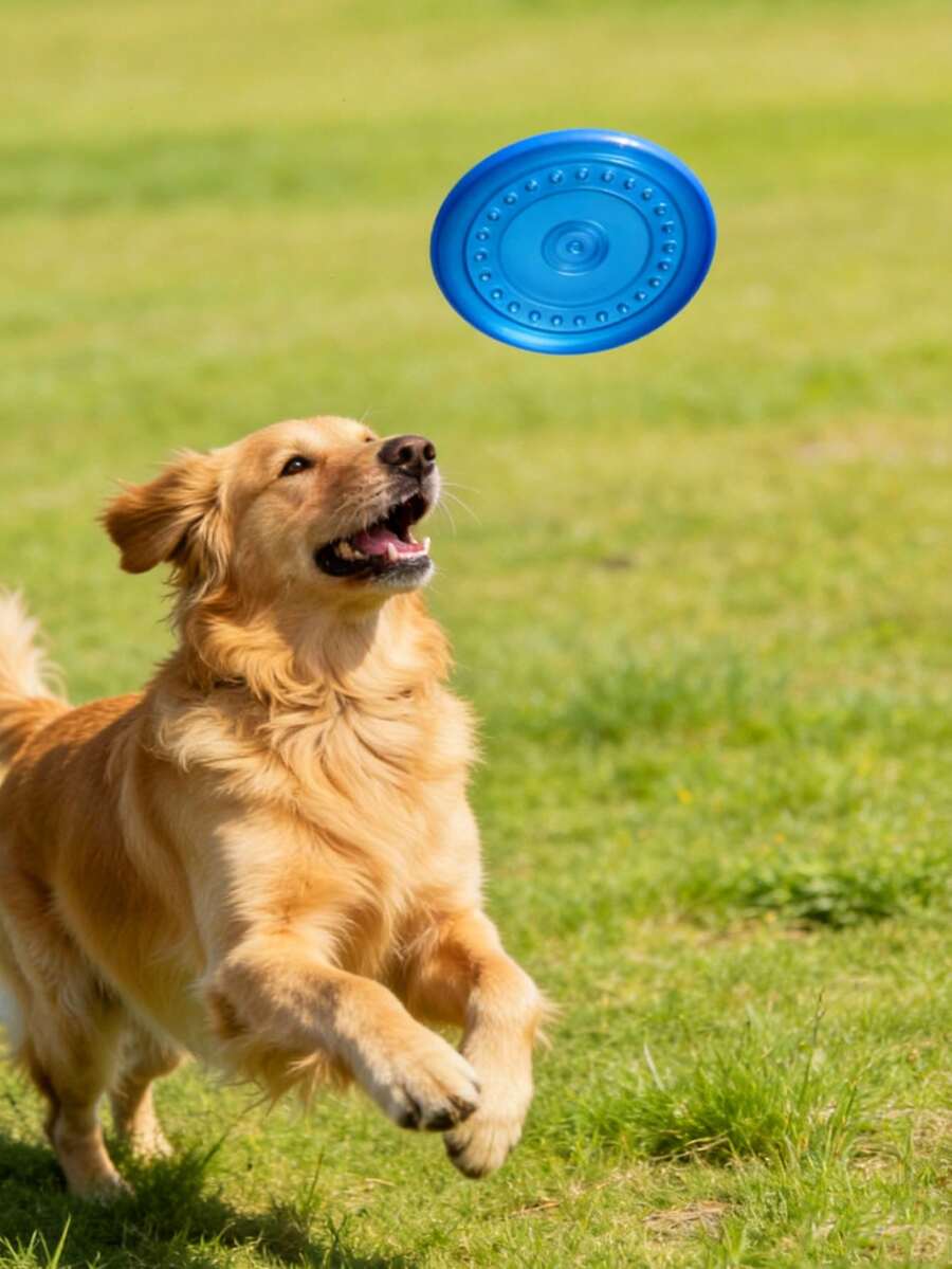 1 Set Purple/Pink/Blue Pet Chew Ring & Soft Flying Disc - Multifunctional Toy For Medium/Large Dogs, Dog Lovers & Moms | Natural TPR Rubber Material, Cleans Teeth, Relieves Itching | Indoor/Outdoor Play, Beach Fetch Pet Supplies | Valentine's Day Gift - Multicolor - View 1