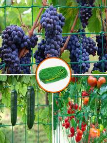 1pc Garden Trellis Netting, Plant Climbing Net For Growing Climbing Vining Plants, Cucumber, Vine, Vegetables, Fruits, Flowers, Tomato Trellis Net - Green - View 7