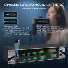 Studio-Grade 2U Dual-Channel 31-Band Digital Equalizer |   PC-Controlled Precision EQ With Live Spectrum Analysis & Advanced Noise Cancellation For Home Audio Systems - Black - View 7